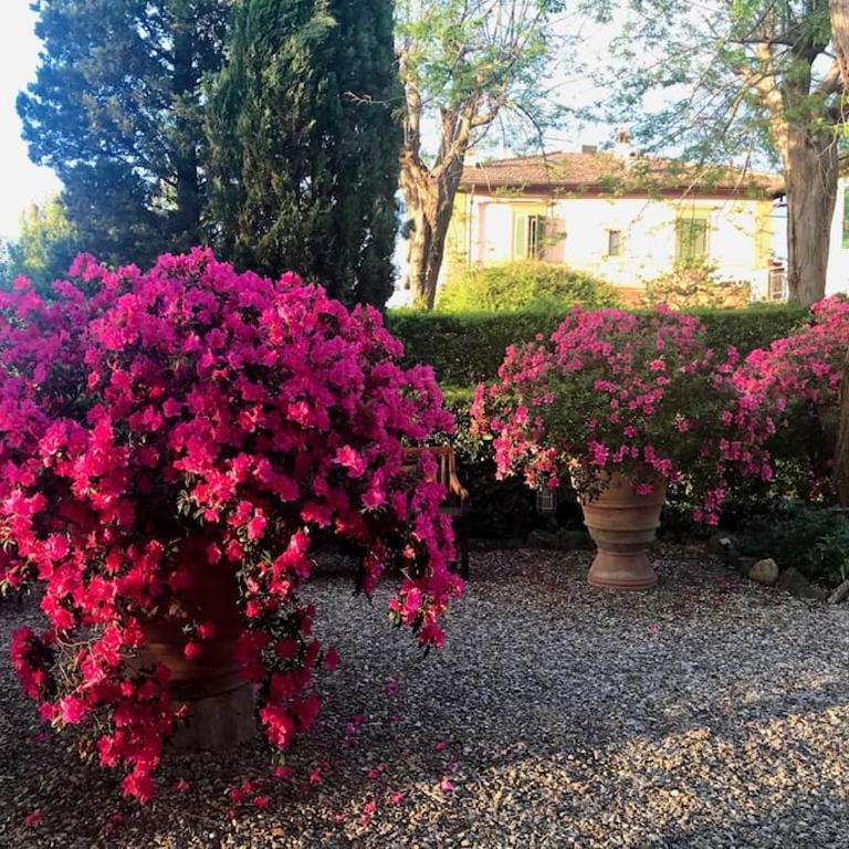 Appartamento in Torre di antica Villa - Three-Bedroom Apartment - 13