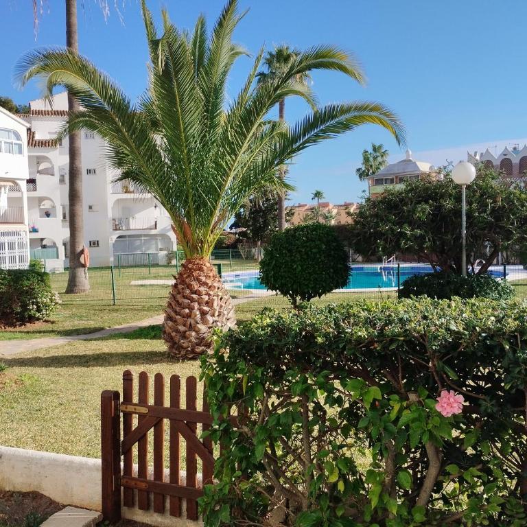 Coqueto apartamento en CalaHonda - Apartamento de 1 dormitorio - 5