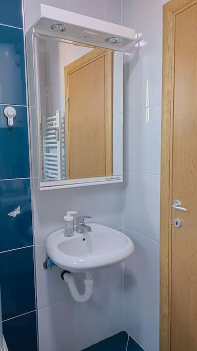 Apartmani Beograd - Light Oasis - Apartman sa 1 Spavaćom Sobom - 9