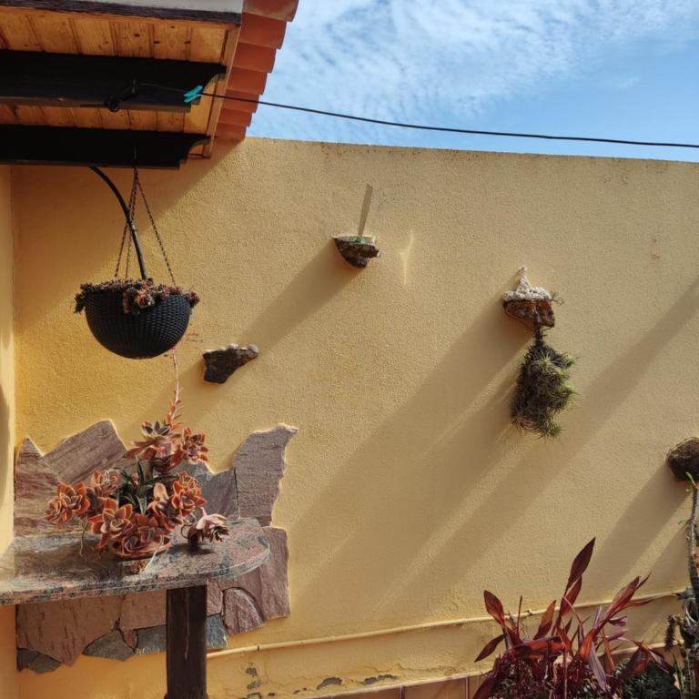 Villa Bruma Isabella - Casa - 3