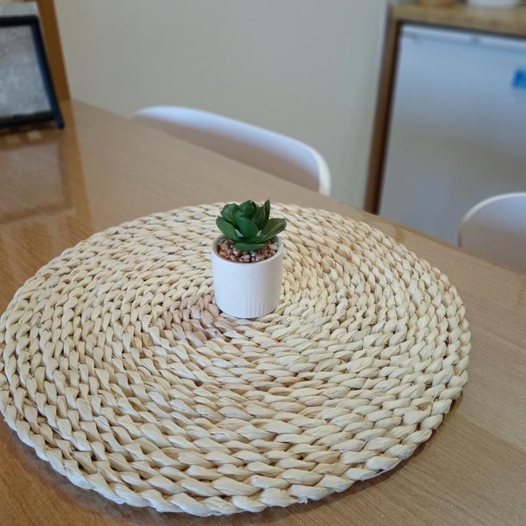 apartman SJ - Apartman sa Pogledom na Planinu - 8