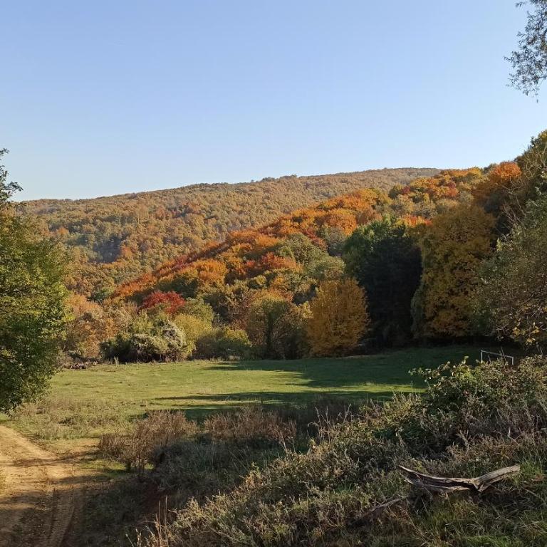 Apartman Nissa - Apartman sa 1 Spavaćom Sobom - 43