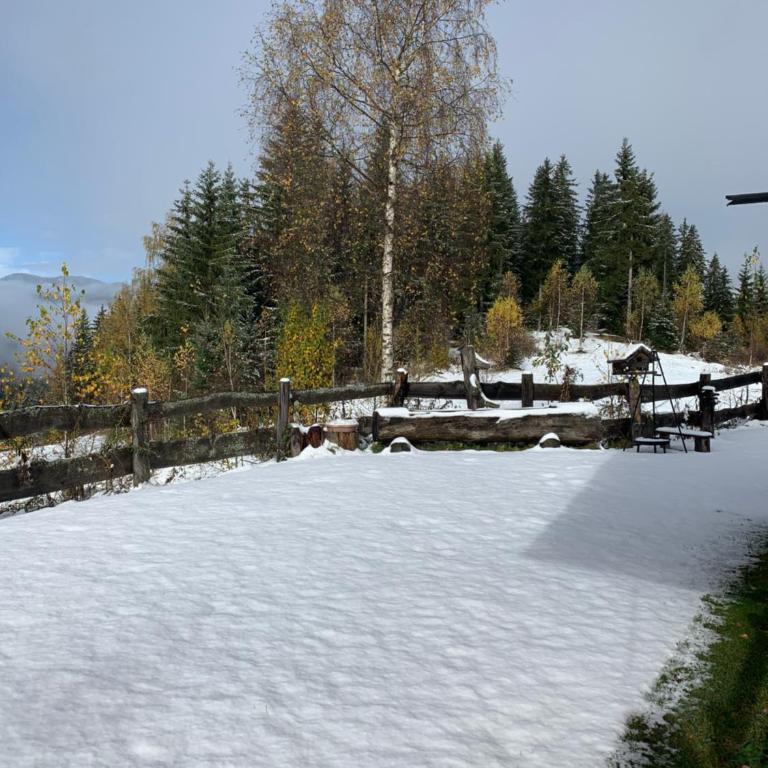 Pichelhütte - Ferienhaus - 26
