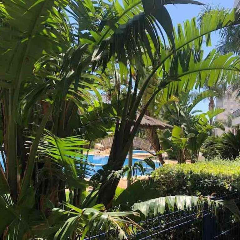 Apartamento El Eden - Apartamento de 2 dormitorios - 39