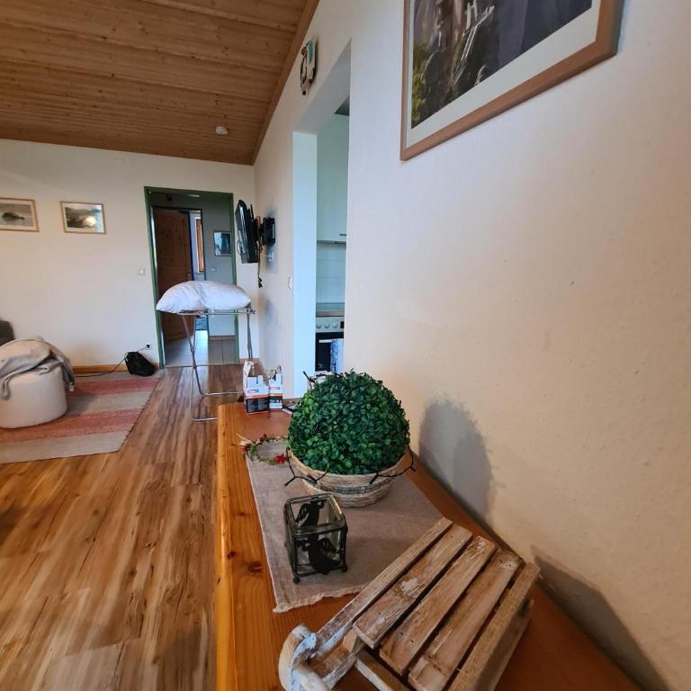 Ferienwohnung im kuhlen Allgäu - One-Bedroom Apartment - 8
