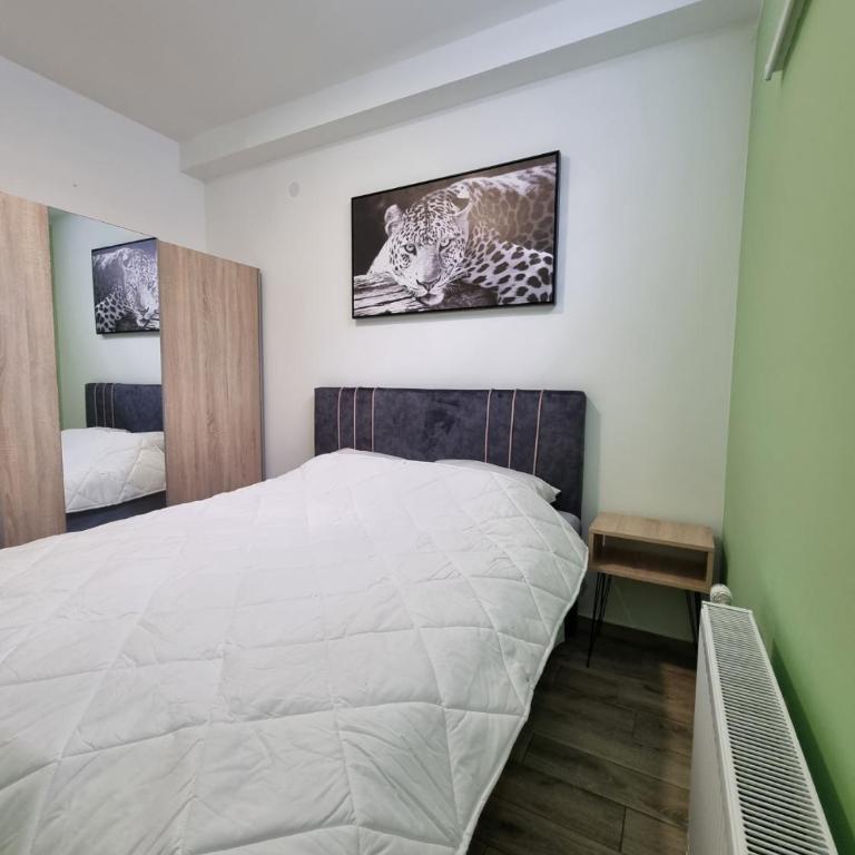 Apartman Sajam - Kaja 2 - Apartman sa 1 Spavaćom Sobom - 12