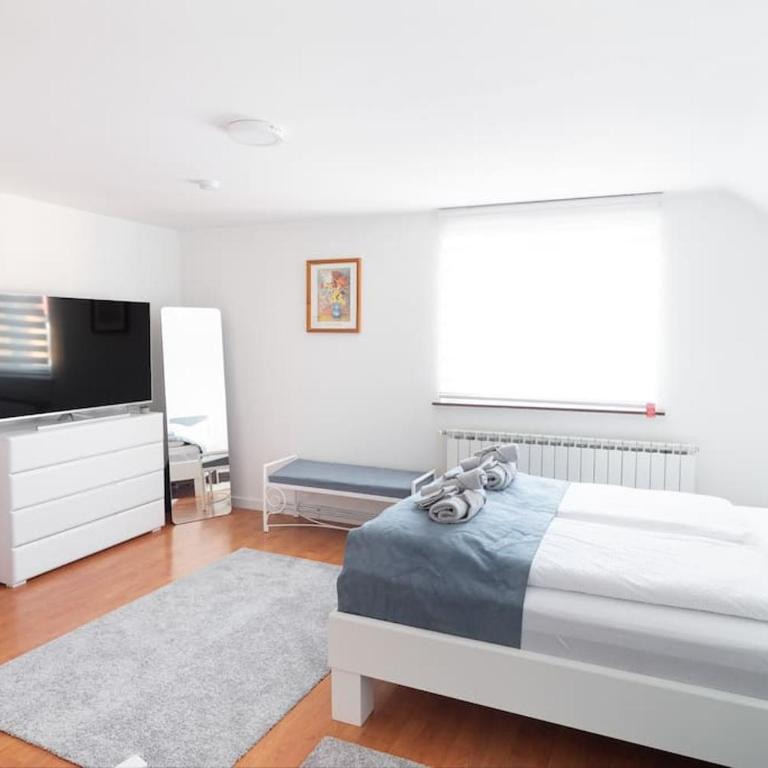 Bright&Cozy flat+balcony near Airport FREE Parking - Three-Bedroom Apartment - 11