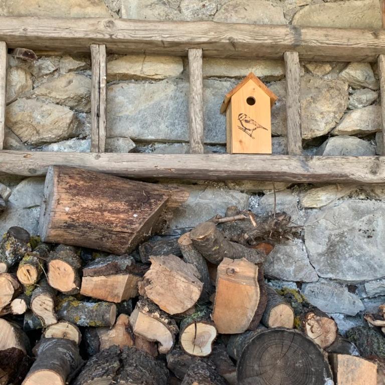Ancienne ferme rénovée 8 pers, calme, confort, vue montagne et jardin - Maison de Vacances - 38