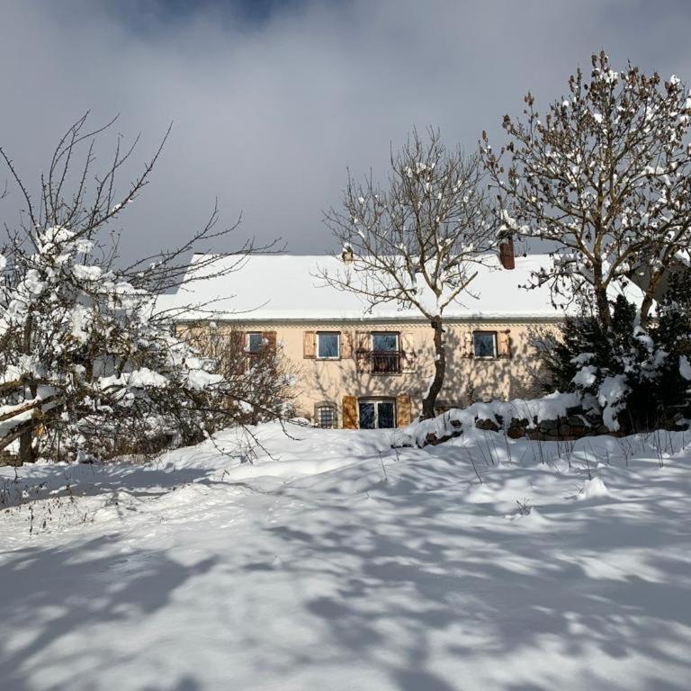 Ancienne ferme rénovée 8 pers, calme, confort, vue montagne et jardin - Maison de Vacances - 15
