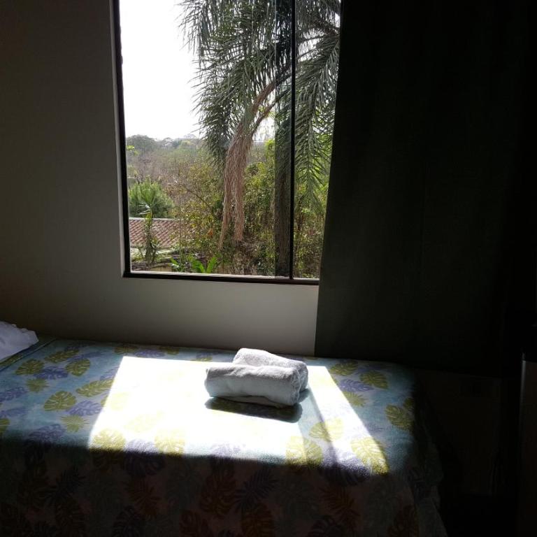 Las Orquideas Parque Hotel - Standard Single Room - 2