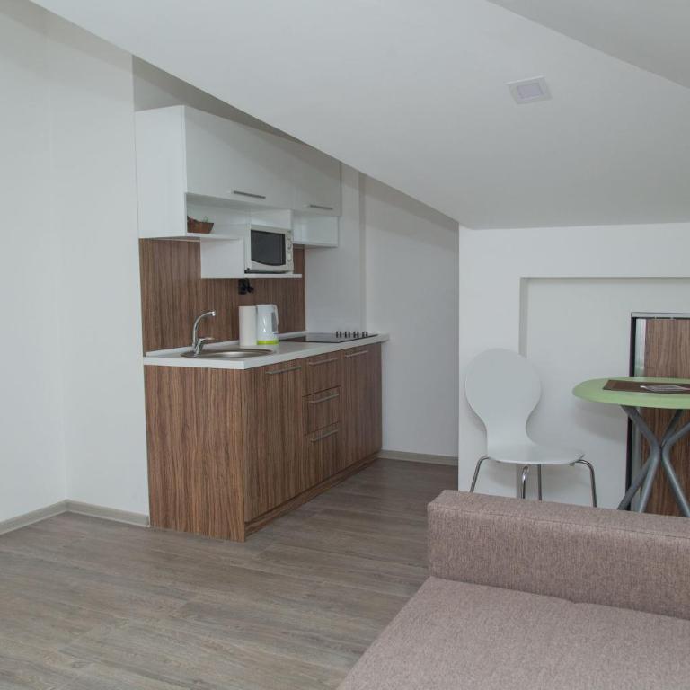 Niš City Center Guest House - Apartman sa 1 Spavaćom Sobom - 3