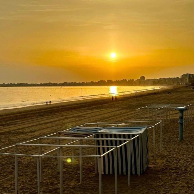 Appt, TERRASSE ,Vélo , Plages & port à proximité , idéalement bien Situé, Dernier étage - Appartement avec Terrasse - 29