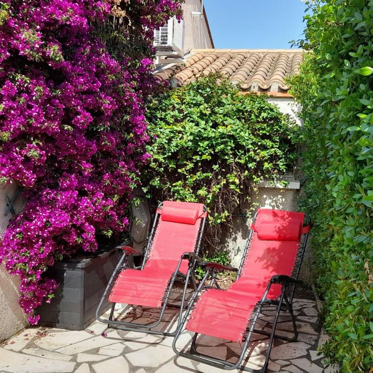 Maison fleurie quartier calme st Cyprien - Ferienhaus - 1