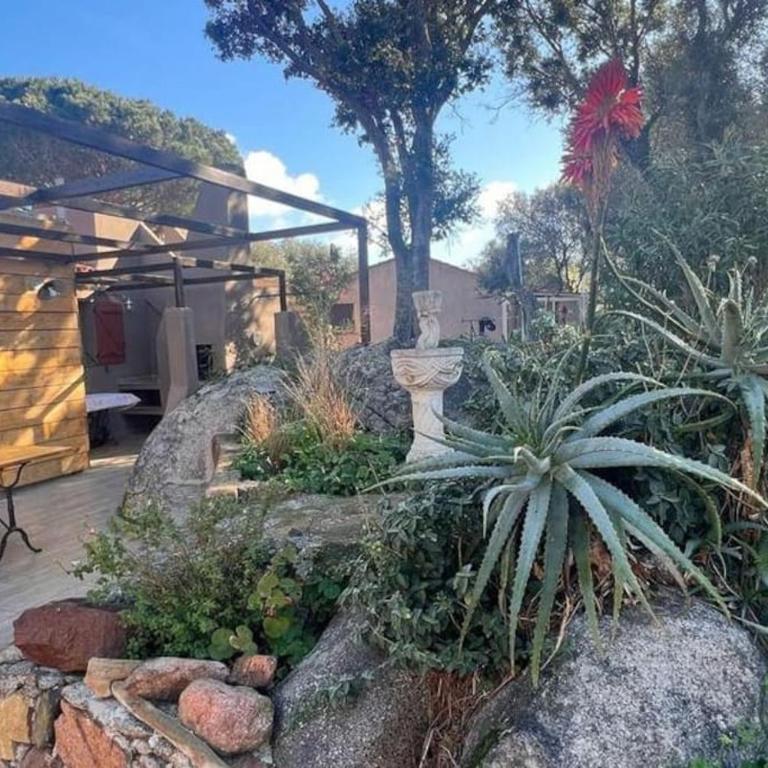 Villa A Liccia piscine 4pers proche Ville et Port - Haus mit 2 Schlafzimmern - 1