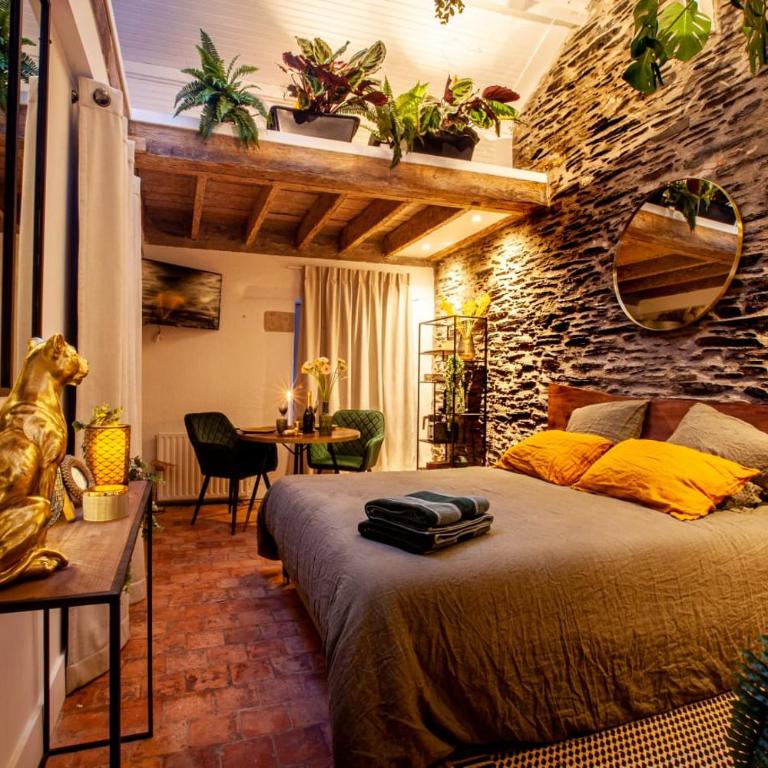 LOVE ROOM JUNGLE - LES PETITS PLAISIRS - Appartement 1 Chambre - 4