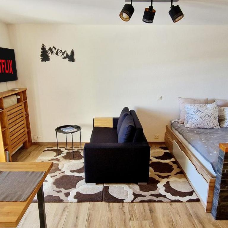 Cozy Studio Retreat - completely renovated in a perfect location - Appartement 1 Chambre - 3