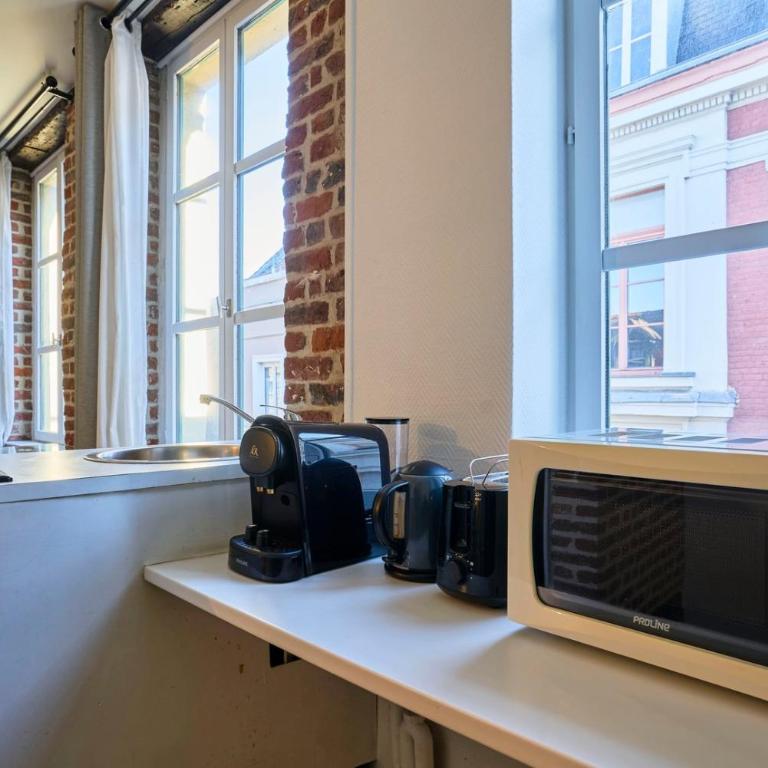 Grand-place & Vieux-Lille: Equipped duplex - Apartment - 17