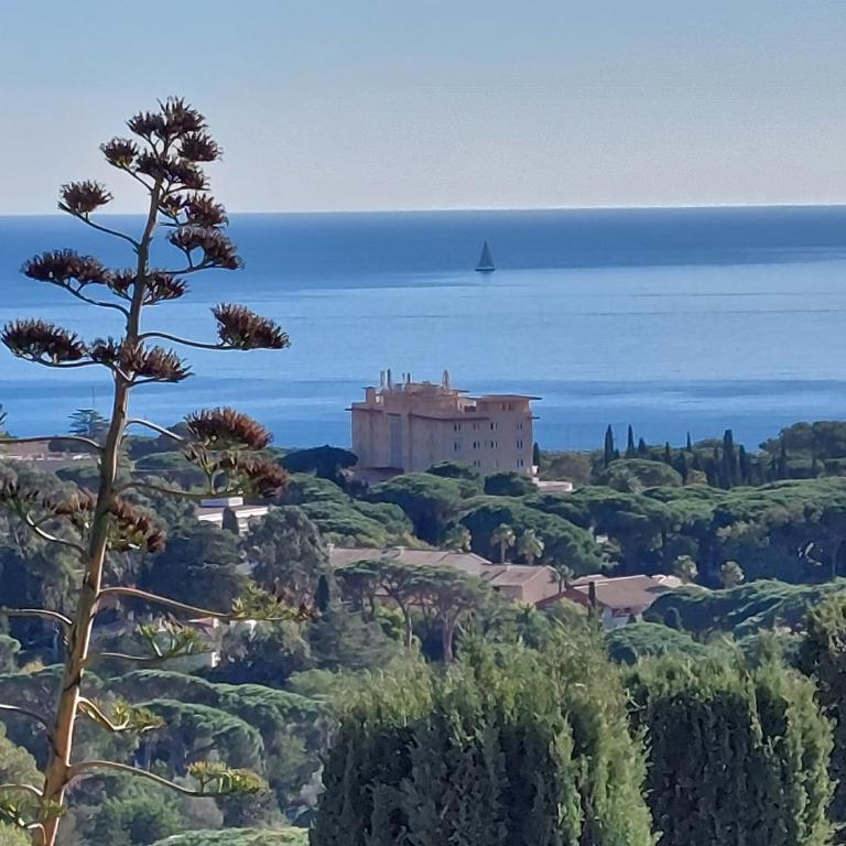 Villa Serenite - Villa - 28
