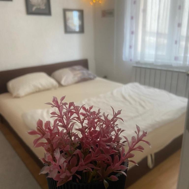 Casaletto Sarajevo - Apartman sa 3 Spavaće Sobe - 12