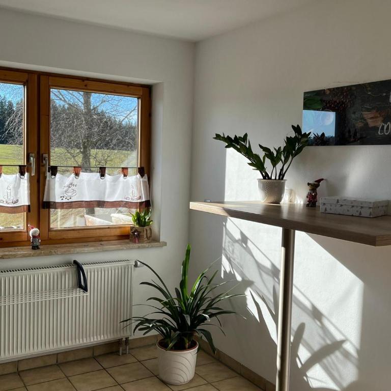 Haus Allgäu Ruh - Apartment mit 1 Schlafzimmer - 16