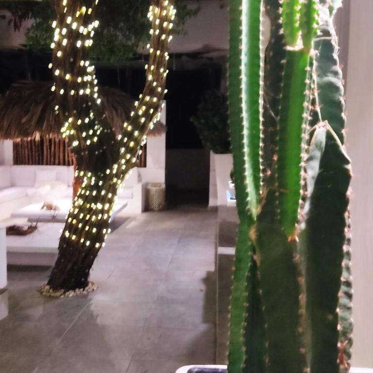 Rincón del mar Veleros Hotel - Double Room with Private Bathroom - 63