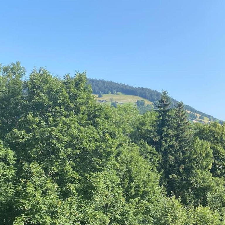 Family cocoon Prime Rochebrune location - Appartement 3 Chambres - 3