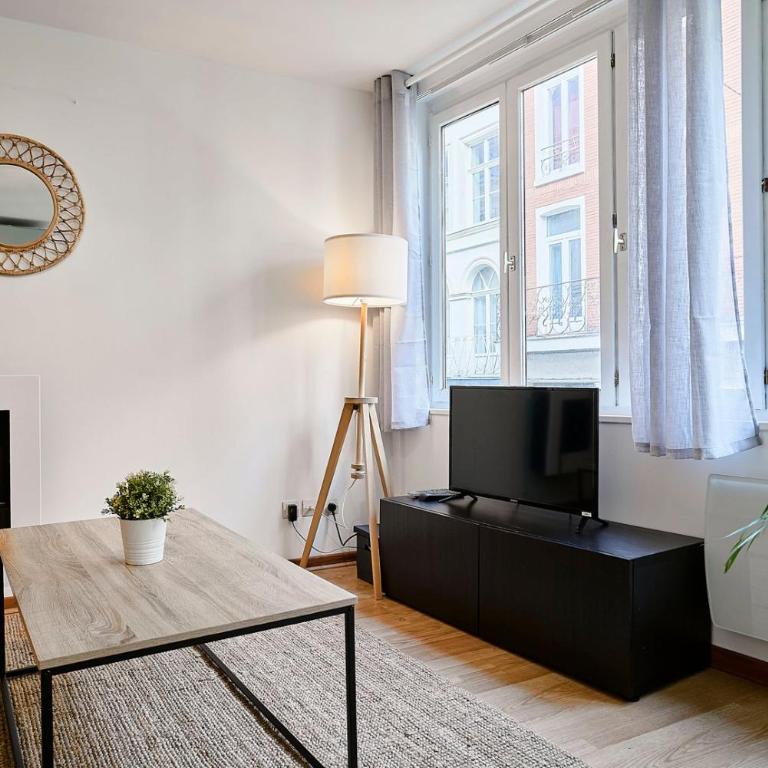Vieux-Lille charmant deux pièces - Appartamento con 1 Camera da Letto - 9