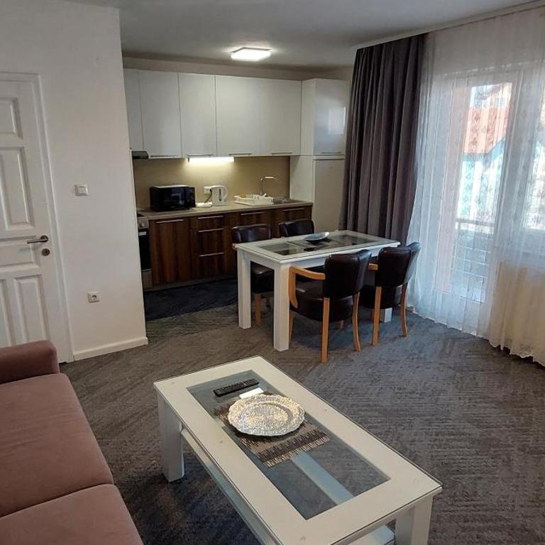 VILLA HIPODROM ilidza apartments - Apartman sa 2 Spavaće Sobe - 4