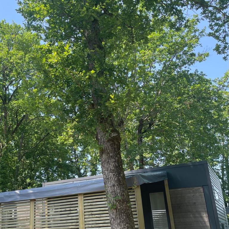 Chant des Oiseaux *** - Premium Quadruple Room - 2
