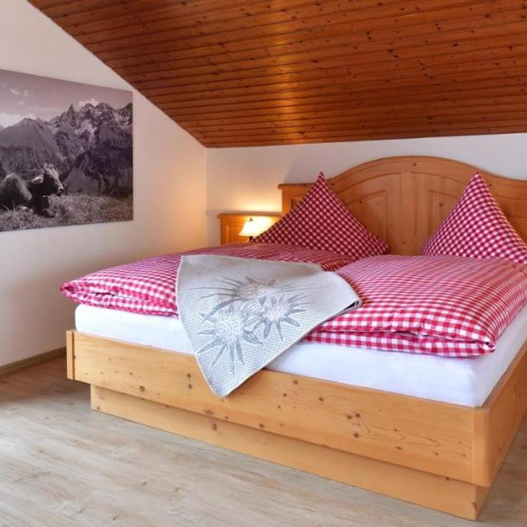 Panoramablick Ferienwohnungen - Apartment mit Balkon - 1