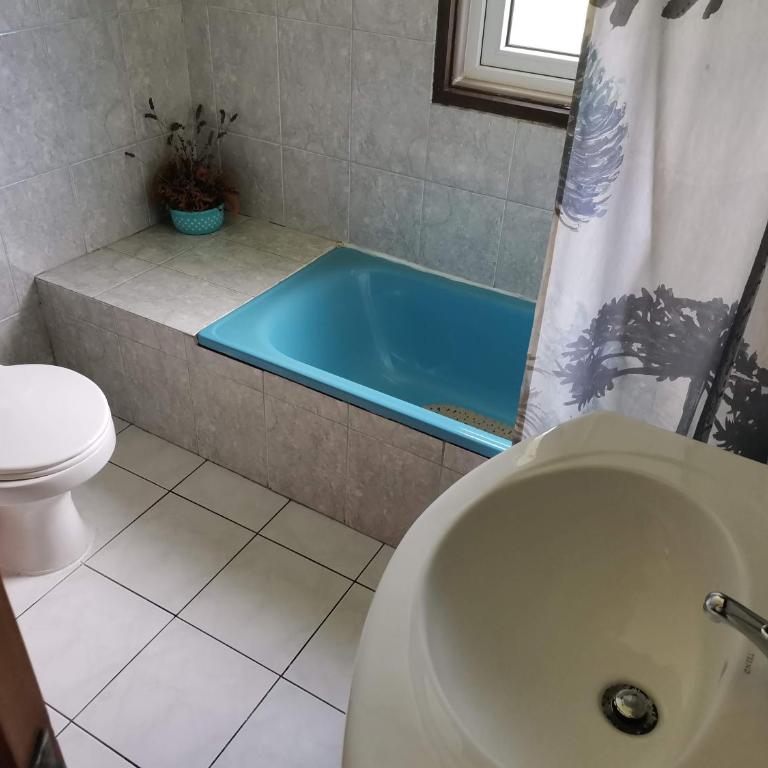 Cabañas y Hostal Casa de Campo Rukaleufu a orillas del Rio Huiscapi - Habitación Triple - 3
