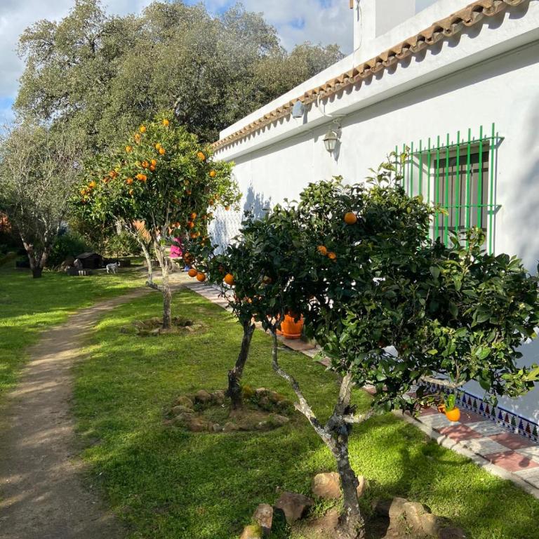 Casa Isabela - Casa Vacacional de 3 dormitorios - 3
