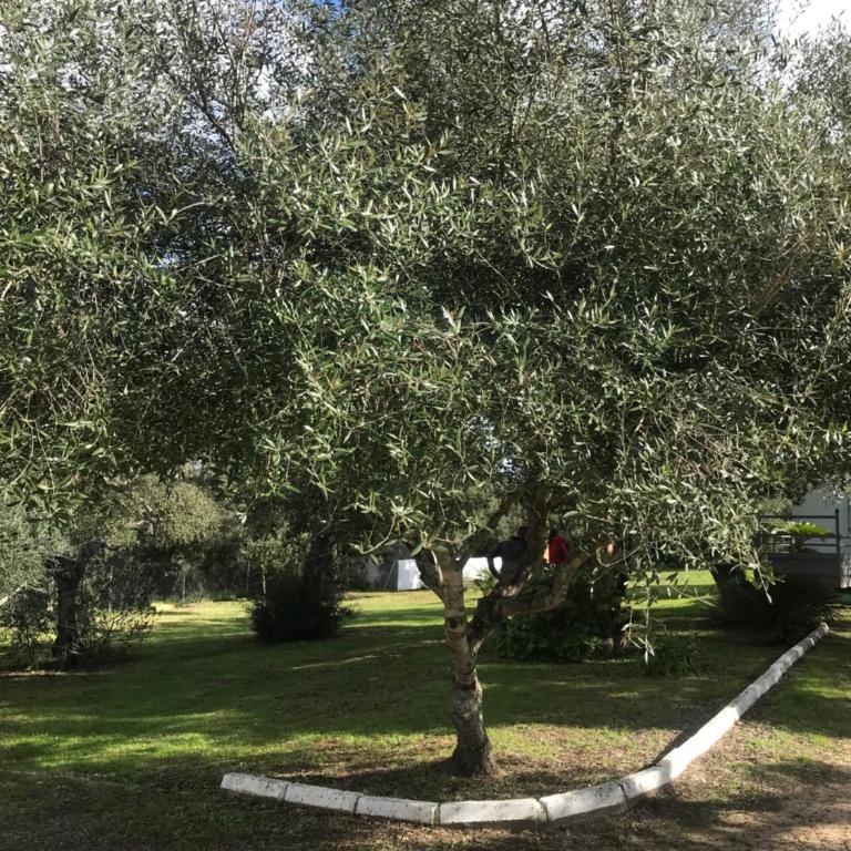 Casa Isabela - Casa Vacacional de 3 dormitorios - 18