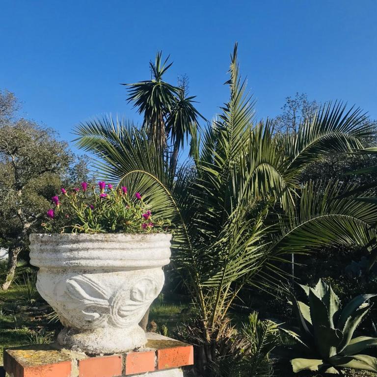 Casa Isabela - Casa Vacacional de 3 dormitorios - 19