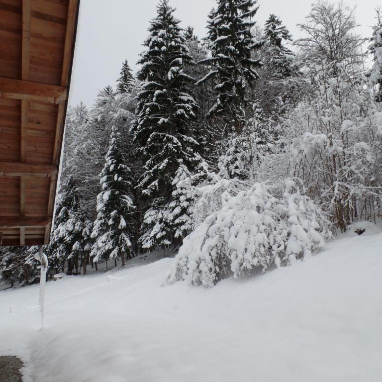 Le Caribou - Appartement (12 Adultes) - 41