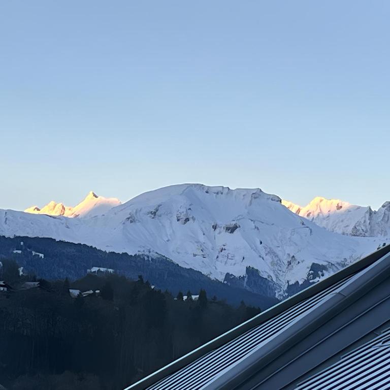 Ski ou Thermes? Un appt cabine avec vue magnifique - Appartement 1 Chambre - 7
