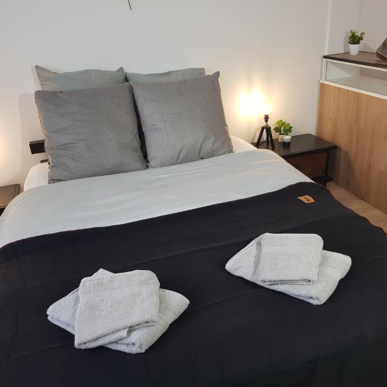 Le Chat d'Or - Grande cuisine - Apartment mit 1 Schlafzimmer - 9