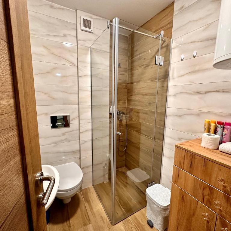 Zlatni apartman Borovi - Deluks Studio sa Bračnim Krevetom (King-size) - 10