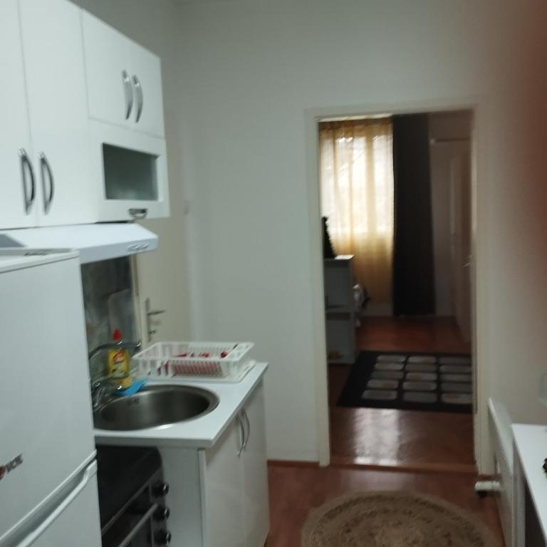 Apartman Mikica - One-Bedroom Apartment - 21