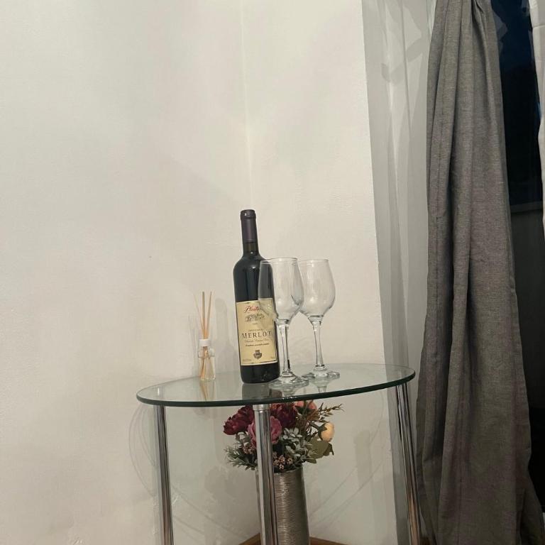 Nušićeva apartment - Apartman sa 1 Spavaćom Sobom - 10