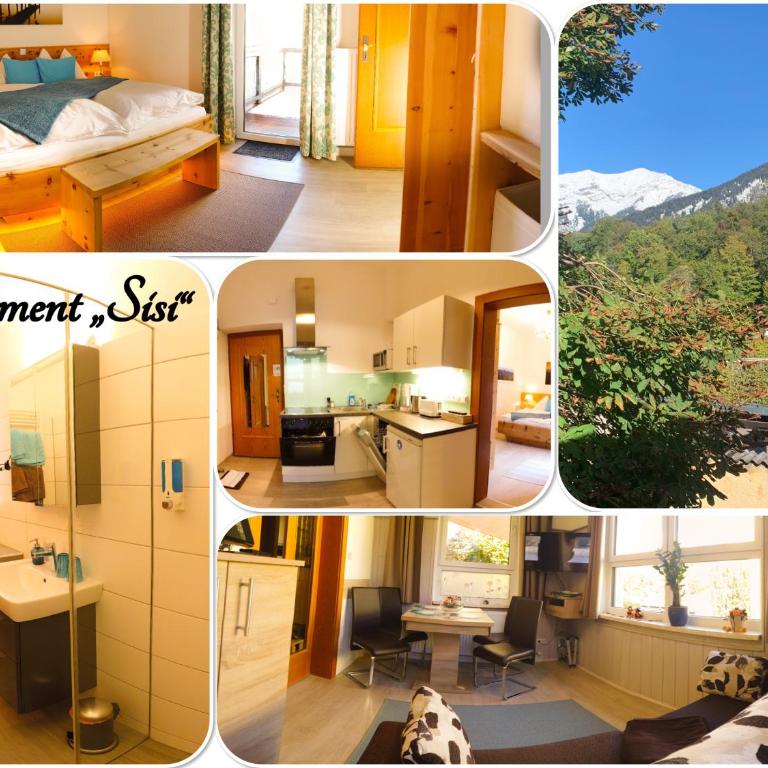 Apartment Haus Braumandl - Apartment Sisi mit Balkon und Bergblick - 1