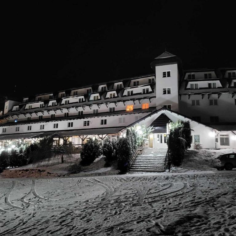 Ski-in & Ski-out, Apartman Filip - 30m from GONDOLA Brzeće - One-Bedroom Apartment - 9