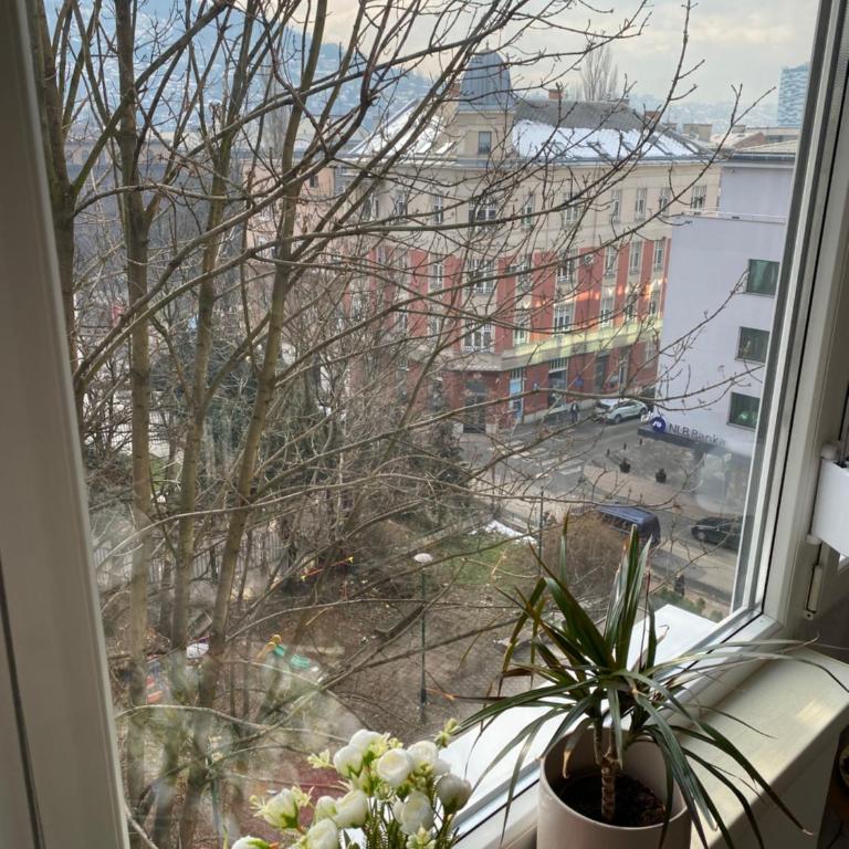 Studio Central Apartment - Apartman sa 1 Spavaćom Sobom - 11