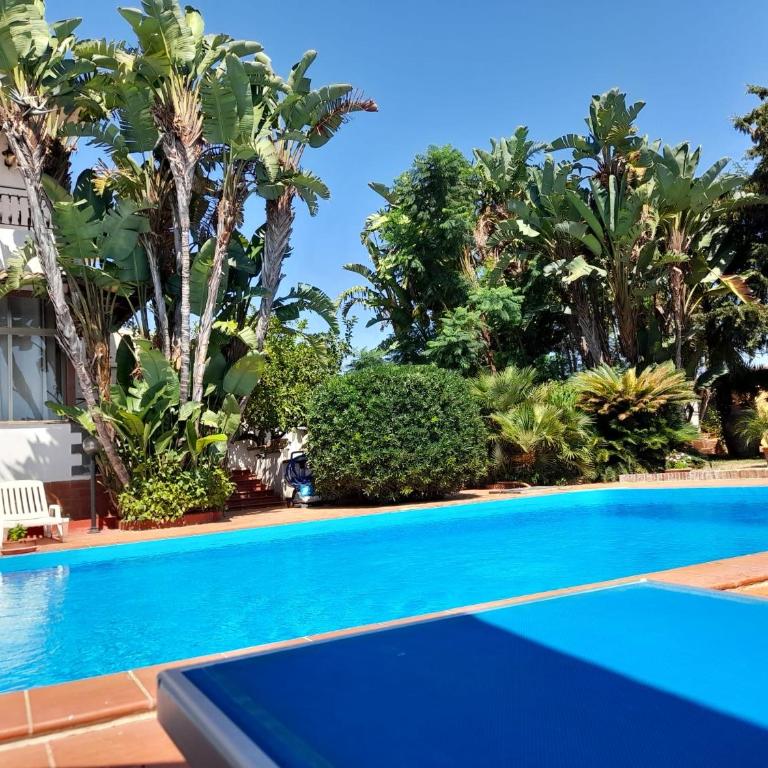 Villa Aladin - Villa - 12