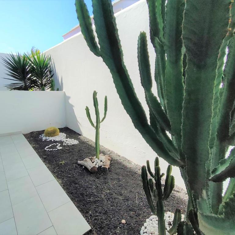 Casa Fuerte - Holiday Apartments - Apartamento - 14