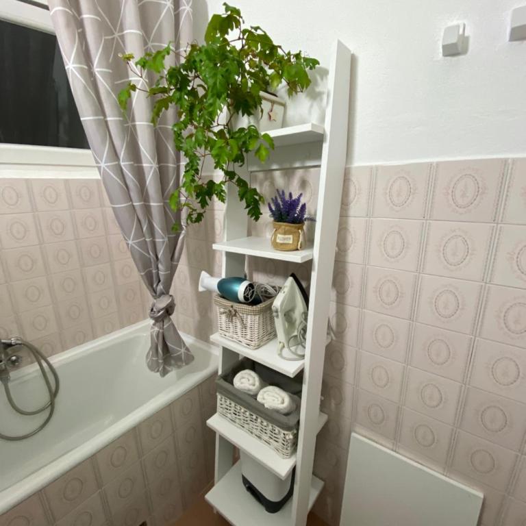 OLI apartman - Apartment - Disability Access - 20