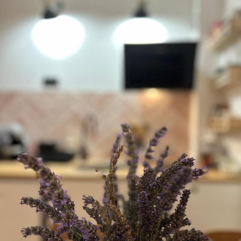 Nest ZEN garden - Apartman sa 2 Spavaće Sobe - 21