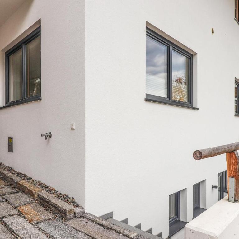 Ferienwohnung Fieberbrunn - Appartamento con 1 Camera da Letto - 4