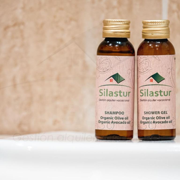 Pimpilinpauxa By Silastur - Apartamento de 2 dormitorios - 20