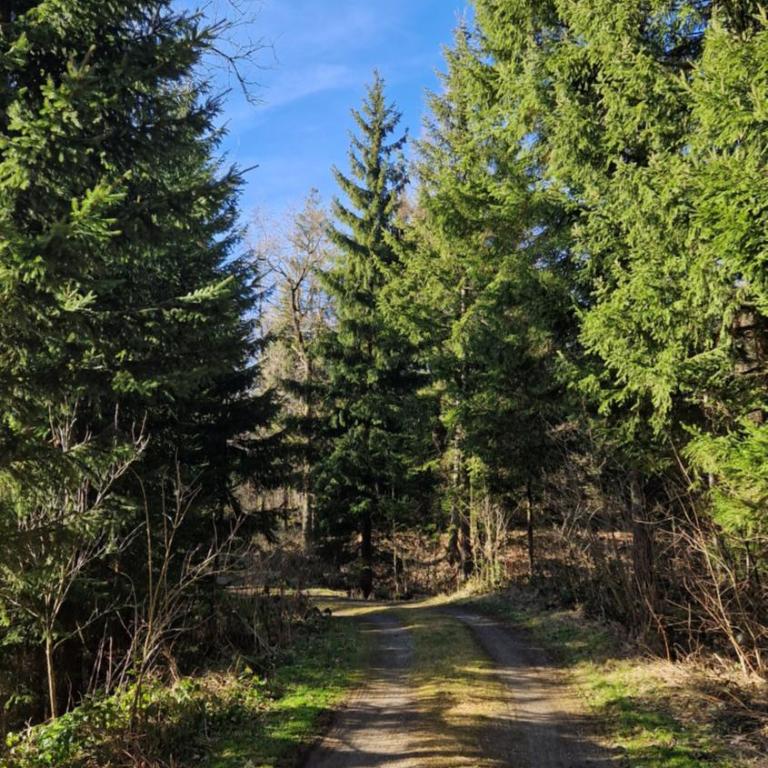 'Allgäus Finest Place '-Domizil zum Träumen und Erholen - Appartamento con 2 Camere da Letto - 41
